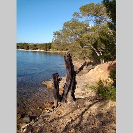 Face Mer Entre Plage Et Marina Bormes-les-Mimosas Exterior photo