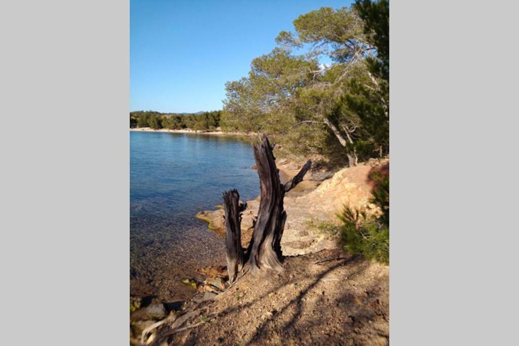 Face Mer Entre Plage Et Marina Bormes-les-Mimosas Exterior photo